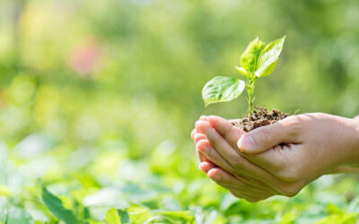 Álbumes para despertar la conciencia ambiental…